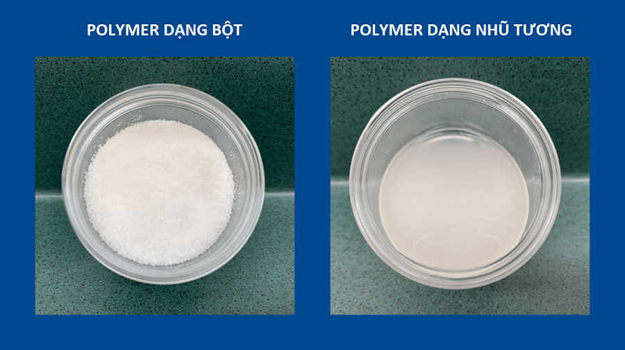 Hướng Dẫn Pha Polymer Đúng Cách Để Đạt Hiệu Quả Xử Lý Cao Nhất